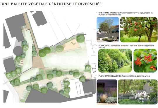 Liste des végétaux qui habilleront le futur parc du château Thibaut.