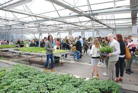 Marché aux fleurs - Portes ouvertes du lycée horticole - Mai 2023.